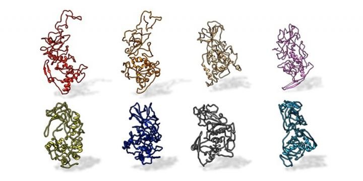 Variantes do Sars-CoV-2 conservam proteína que se liga a anticorpos, mostra estudo (Foto: Kelly Lab/Penn State)