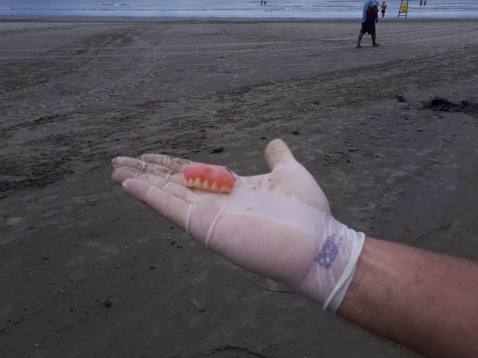 Dentadura foi encontrada na praia por equipes do Instituto Gremar â€” Foto: DivulgaÃ§Ã£o/Instituto Gremar