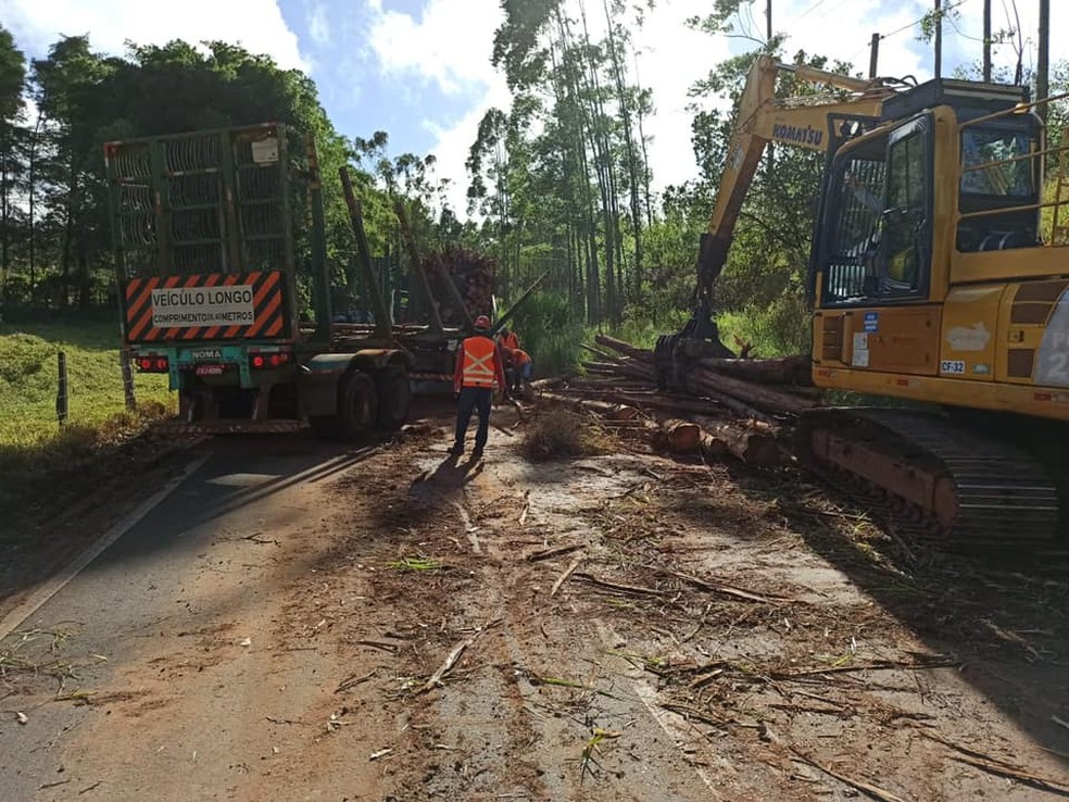 Equipes do Demutran trabalharam na limpeza da vicinal após acidente em Itatinga — Foto: Demutran Itatinga/Divulgação