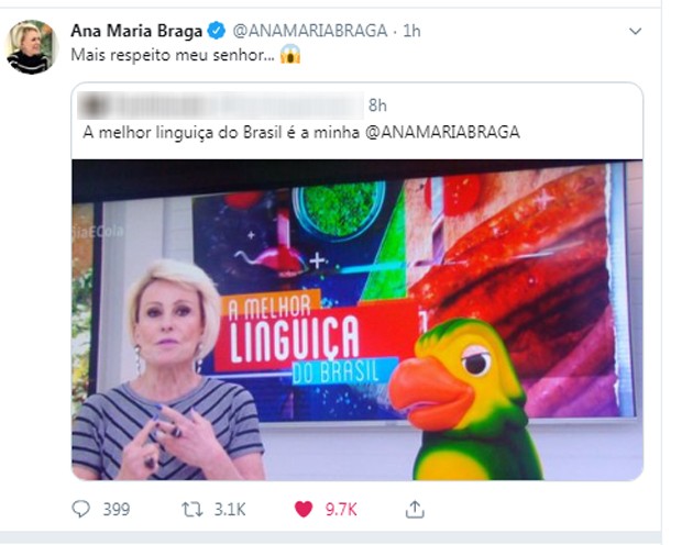Resposta de Ana Maria Braga (Foto: Reprodução/Twitter)