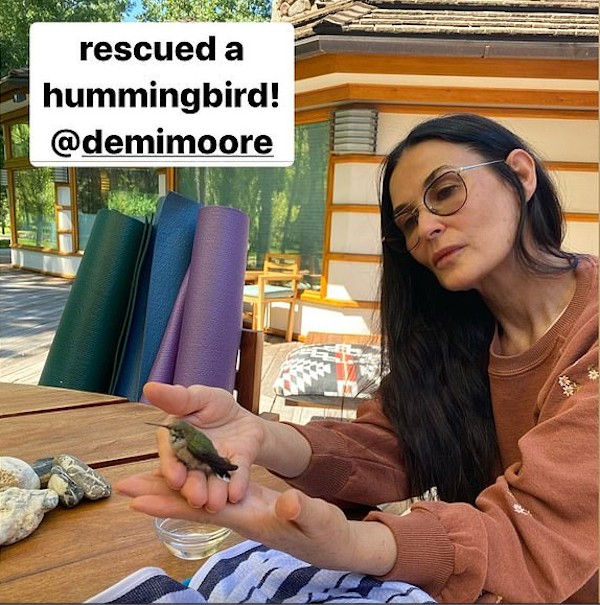 A atriz Demi Moore com um beija-flor na mão em registro compartilhado por sua filha caçula, Tallulah Willis (Foto: Instagram)