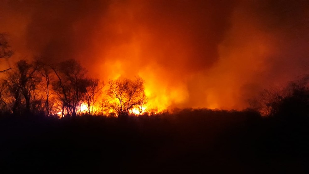 Incêndio atinge região de mata em Jurema, no Sul do Piauí — Foto: Divulgação