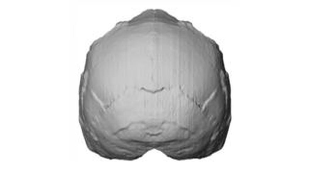 Apidima 1 (ilustrada aqui em uma reconstrução) tem todas as características de um crânio humano moderno, segundo pesquisadores — Foto: Katerina Harvati, Eberhard Karls Uni Tub/Divulgação