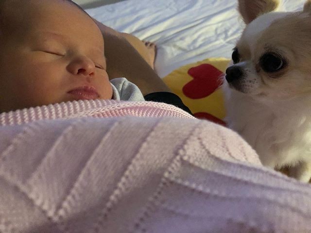 Dany Bananinha mostra Lara dormindo ao lado de Beatriz, sua cachorrinha (Foto: Reprodução/Instagram)