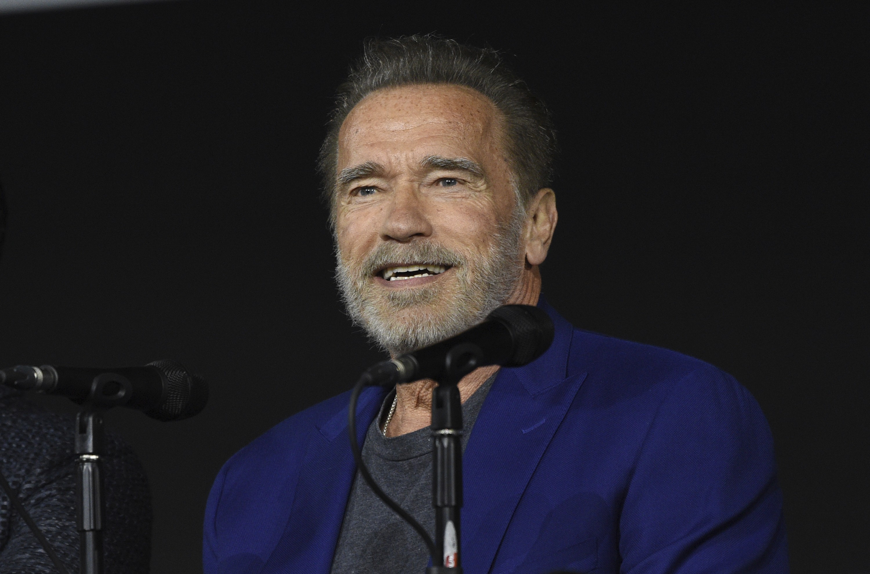Arnold Schwarzenegger se envolve em acidente de carro e mulher fica gravemente ferida, diz site