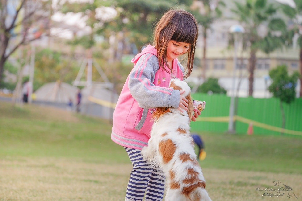 O fato de tutores de cachorros passearem mais ao ar livre e viverem em áreas mais verdes podem ser motivos para a menor probabilidade (Foto: Pexels/ Kai-Chieh/ CreativeCommons)