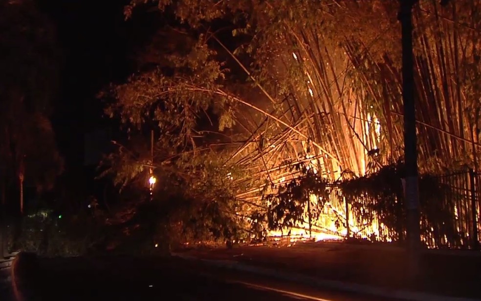 Parque Areião é alvo de incêndios em Goiânia (Foto: Reprodução/TV Anhanguera)