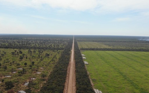 2 maior floresta da Am rica Latina tamb m queimou nos ltimos