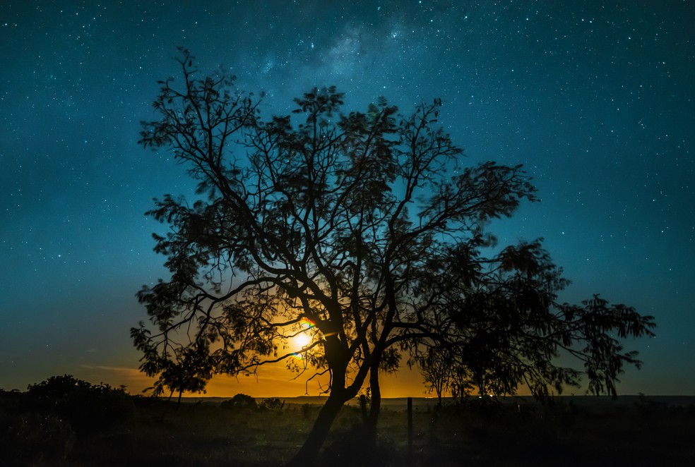 Imagem da Exposição de Fotografias do Guará, que faz parte do festival em homenagem a arte tirar fotos.  — Foto: Henrique Ferreira