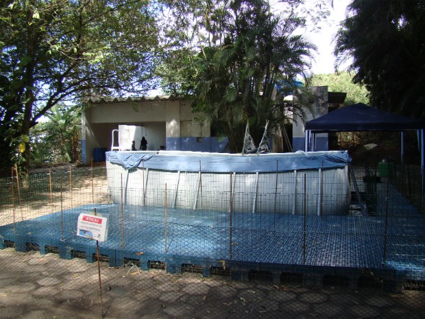 Local possui estrutura com piscina, área de internação, além de equipamentos necessários para atendimento médico (Foto: Divulgação/ Iema)