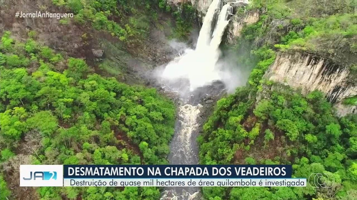 Cerca de 1 mil hectares de mata preservada em área kalunga são desmatados, diz governo