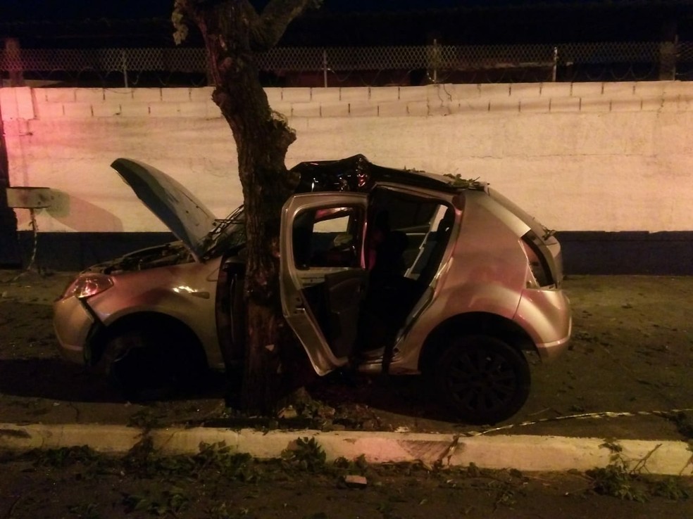 Homem morre ao bater carro em Ã¡rvore em SÃ£o JosÃ© dos Campos (Foto: DivulgaÃ§Ã£o/Corpo de Bombeiros )