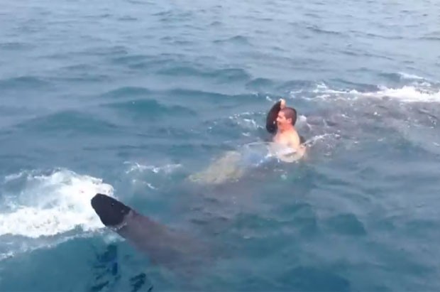 Chris Kreis, de 19 anos, saltou no mar e pegou carona com um tubarão-baleia (Foto: Reprodução/YouTube/LimitedOutFishing)