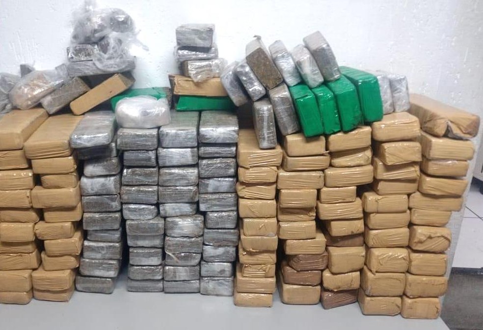 Tijolos de maconha apreendidos em Campinas &mdash; Foto: 1&ordm; Batalh&atilde;o de A&ccedil;&otilde;es Especiais da PM (Baep)