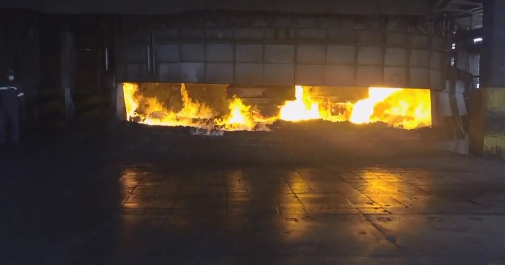 Incineração foi feita na manhã desta terça-feira (15) (Foto: Polícia Federal/ Divulgação)