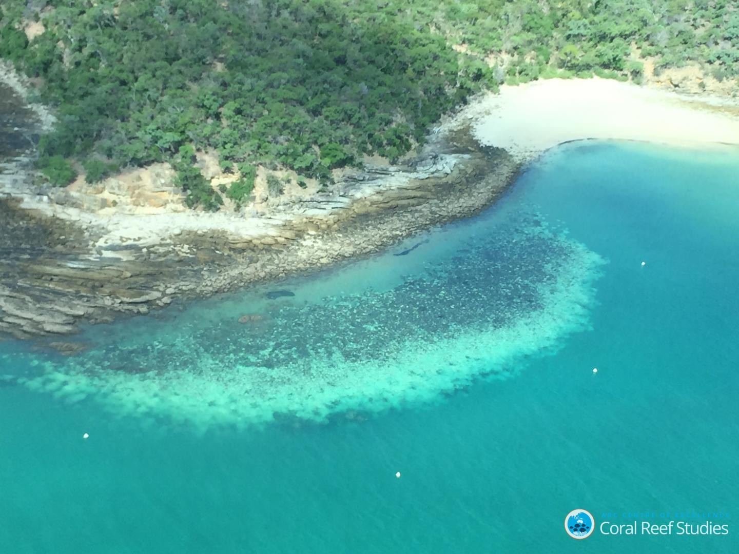 Grande Barreira de Corais sofre o mais severo branqueamento de corais em cinco anos (Foto: Reprodução)