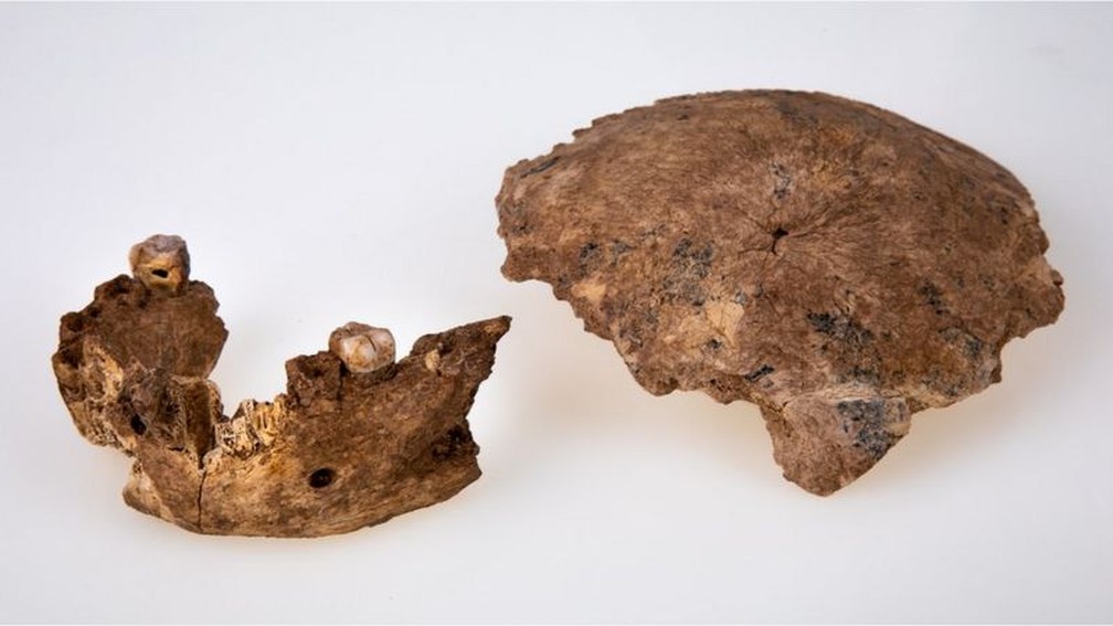 Fragmento de crânio e mandíbula foram encontrados perto de Ramla em Israel — Foto: Avi Levin e Ilan Theiler 