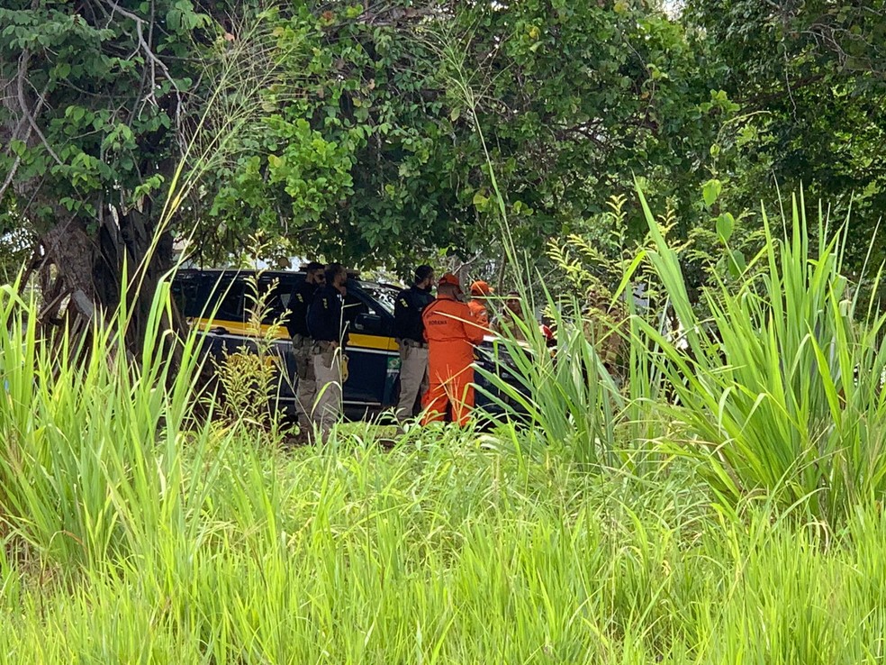 Bombeiros e PRF estão no local onde helicóptero caiu na zona rural de Boa Vista — Foto: Yara Ramalho/g1 RR