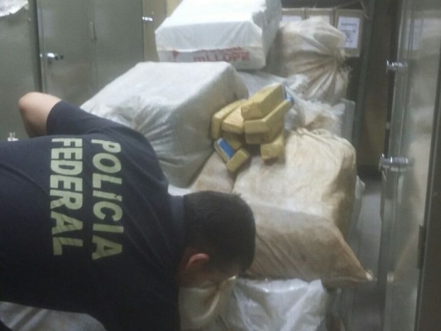 Droga apreendida estava em um caminhão baú (Foto: Divulgação/PF-TO)