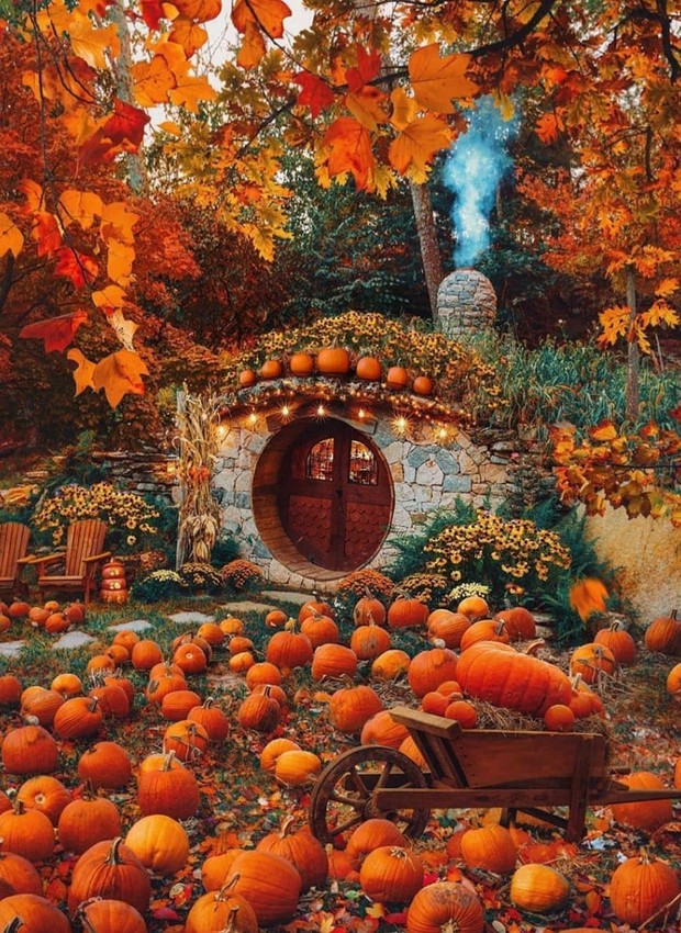 A casa idêntica à do Hobbit foi coberta em abóboras para o Halloween (Foto: Reprodução / Instagram / @spirituniversecrystals)