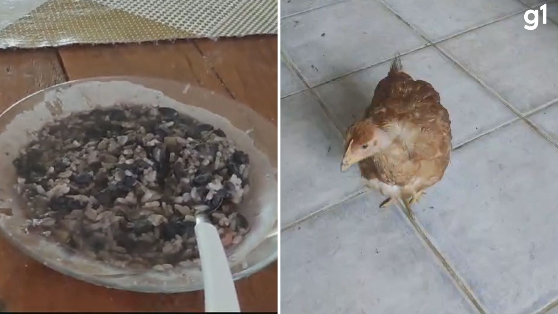 'Não tem uma gota d'água pra gente', diz moradora resgatada de clínica clandestina em Taquara