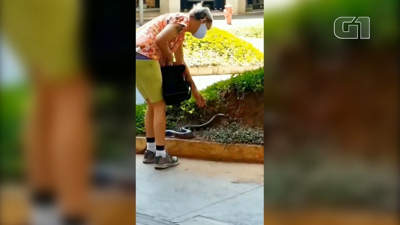 Mulher leva cobra para passear no Centro de BH e vídeo viraliza nas redes sociais