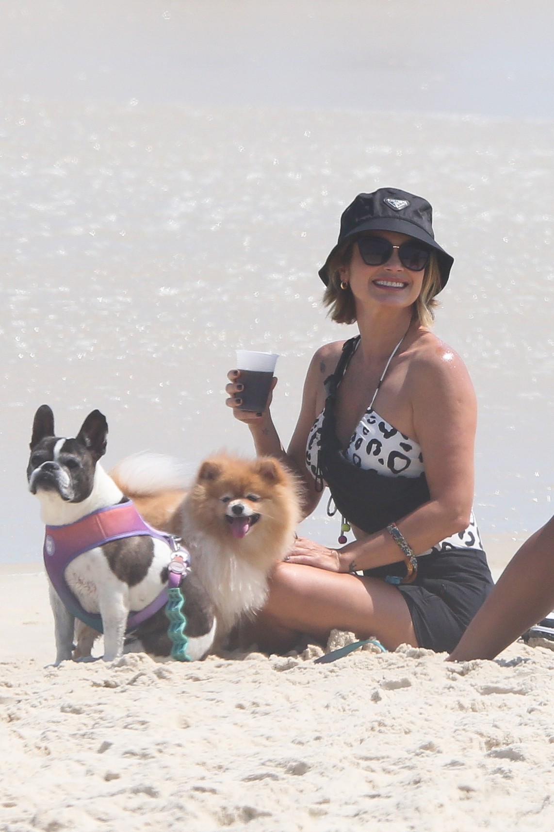 Flavia Alessandra passeia com pets (Foto: AgNews)