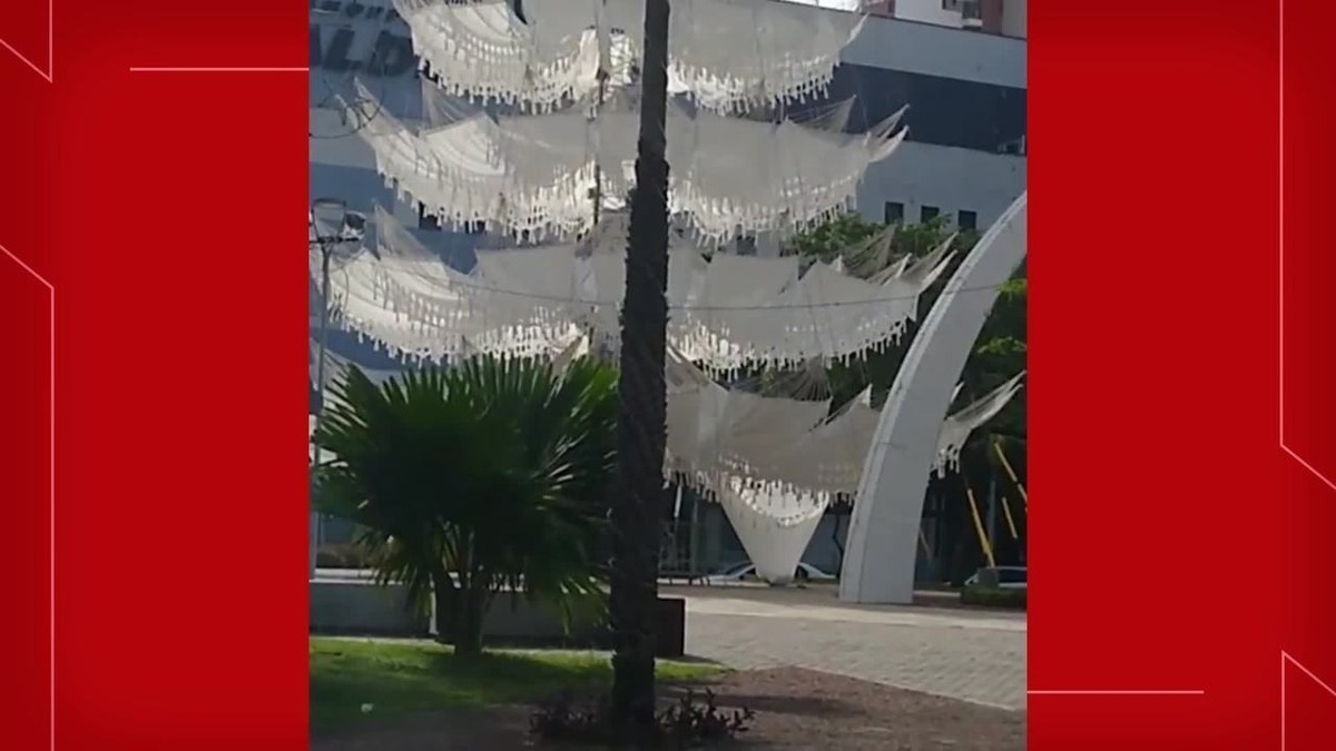 Vídeo mostra pessoa dormindo em rede de árvore de Natal na Praça Portugal,  em Fortaleza | Ceará | G1