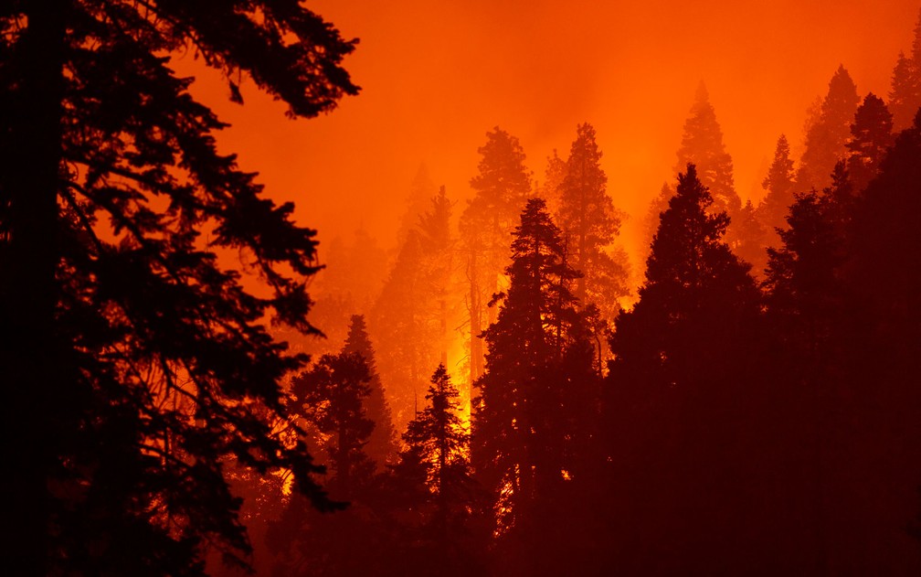 Chamas do incêndio SQF Complex avançam em Camp Nelson, na Califórnia, em foto de 14 de setembro — Foto:  David McNew/Getty Images/AFP