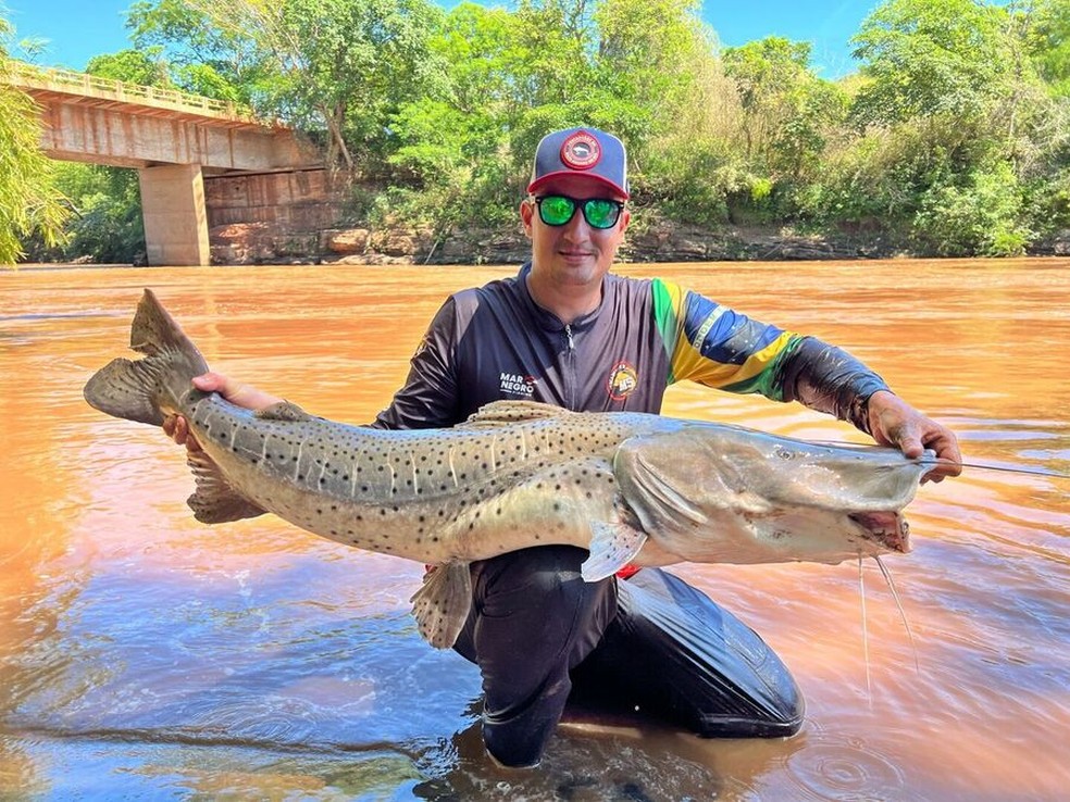 Pintado impressiona pelo tamanho  — Foto: Arquivo Pessoal