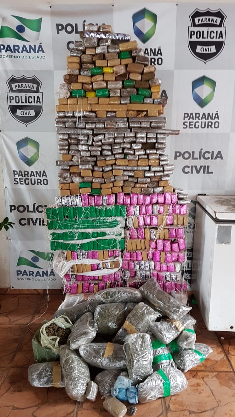 De acordo com o delegado de Loanda, tambÃ©m no noroeste do estado, Alisson Tinoco, 30 kg do total apreendido era de "maconha pura".  (Foto: PolÃ­cia Civil/DivulgaÃ§Ã£o)
