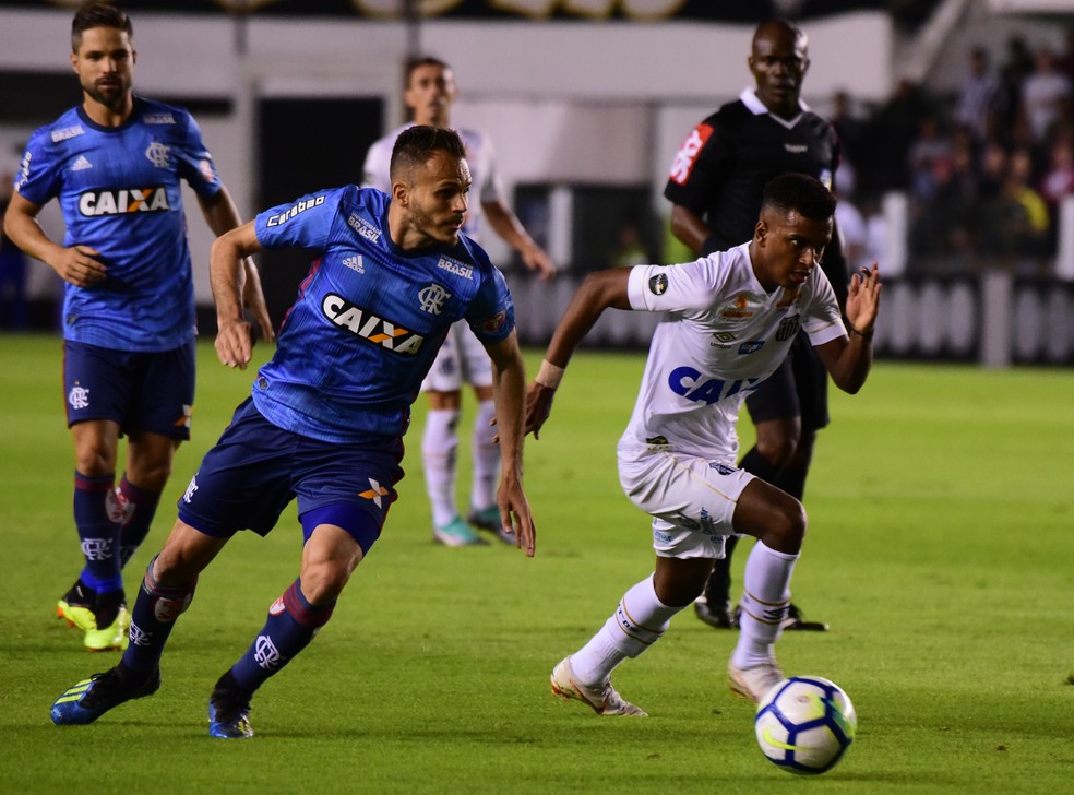 Santos e Flamengo empataram por 1 a 1 (Foto: Leandro Bernardes / Framephoto / Estad&atilde;o Conte&uacute;do)