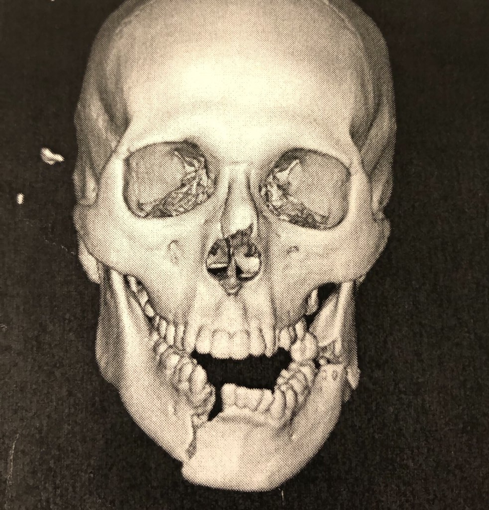 Ex-UFC fighter Ulka Sasaki cracked jaw in half right in the ...