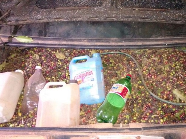 No porta-malas do carro, motorista carregava grãos de café em Machado, MG; origem ainda é desconhecida (Foto: Polícia Militar)