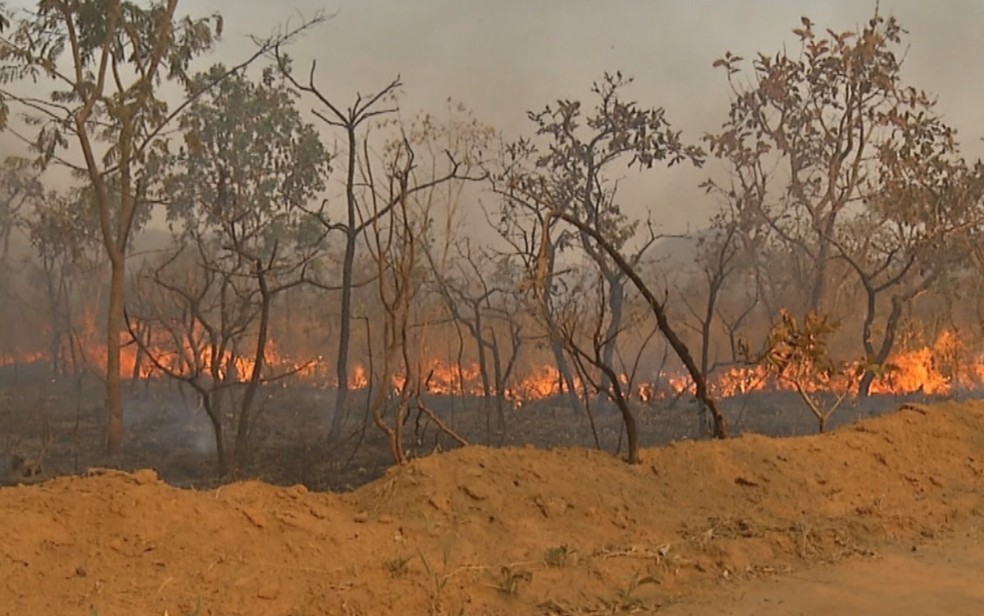 Fogo atinge região próxima a cachoeiras de Pirenópolis — Foto: Reprodução/TV Anhanguera