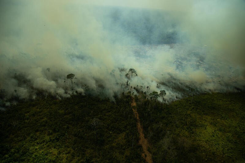 Monitoramento de queimadas na Amazônia feito pelo Greenpeace em julho de 2021 (Foto: Christian Braga / Greenpeace)