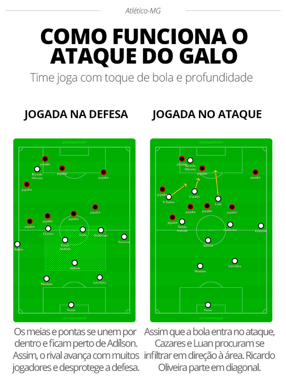 galo-1.jpg