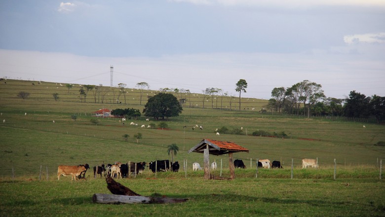 agricultura-assentamento (Foto: Divulgação/Itesp)
