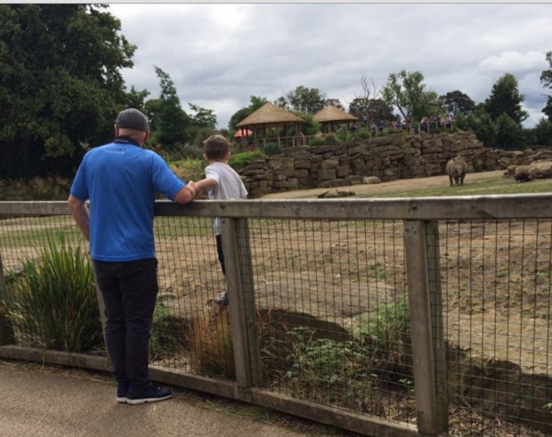Menino estava na área dos rinocerontes acompanhado de um adulto, fora da cerca (Foto: Reprodução/Internet)