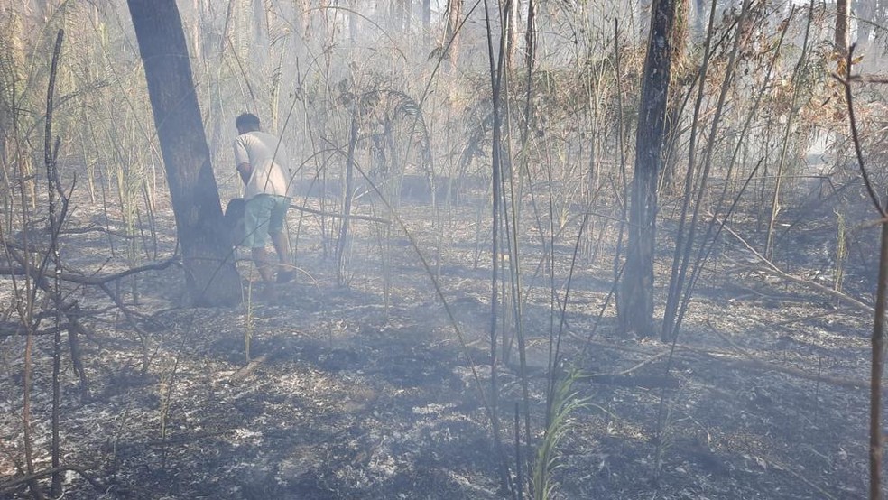 Indígenas da etnia bororo combateram um incêndio na Terra Indígena Tadarimana em Rondonópolis, no sul de Mato Grosso — Foto: Marcelo Alves Terena Coguiepa/Arquivo pessoal