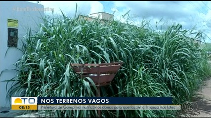 Gurupi vai notificar donos de lotes para que limpem os locais