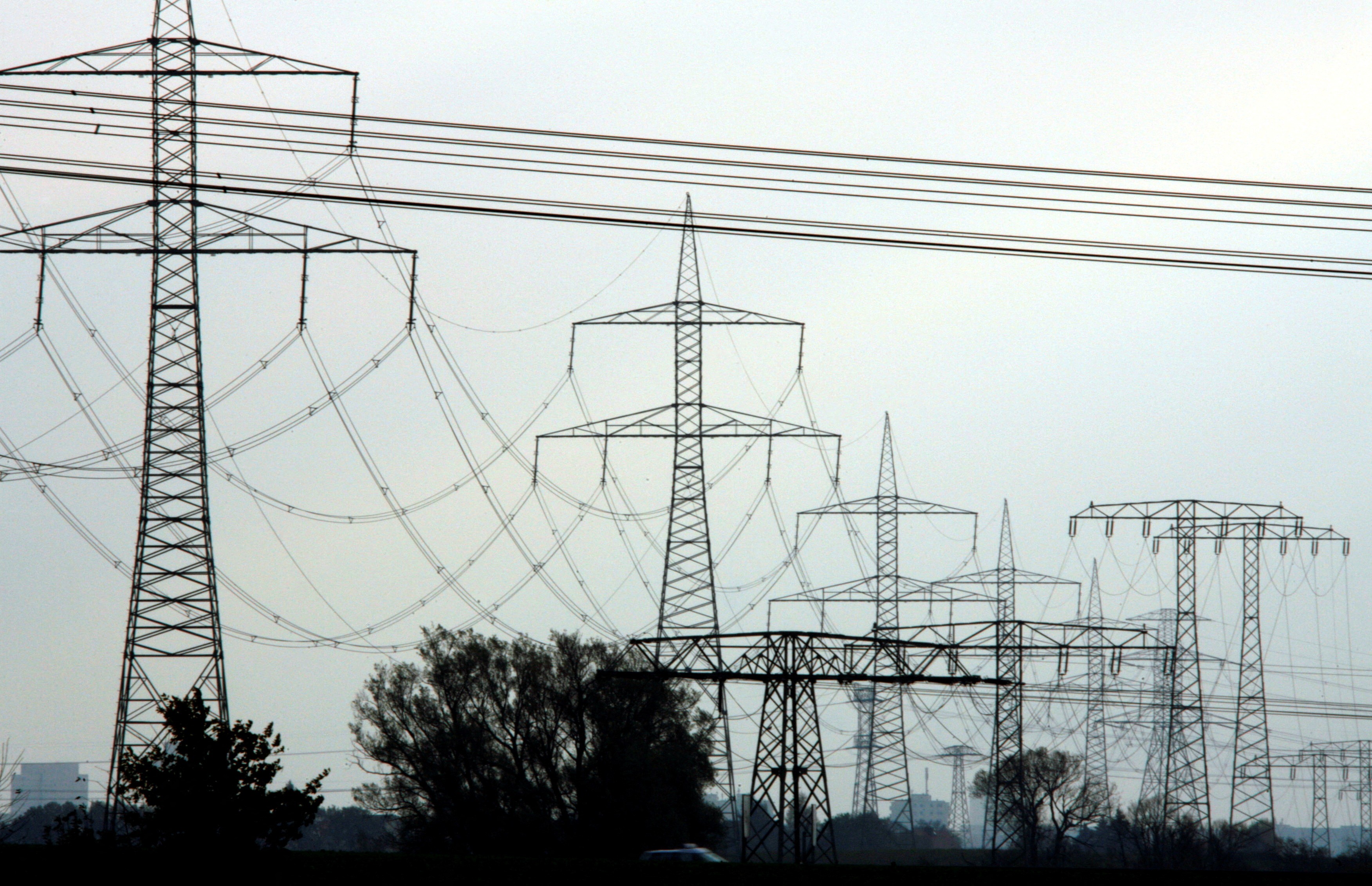 Linhas de alta tensão e postes de eletricidade retratados perto de Berlim (Foto: REUTERS/Pawel Kopczynski)