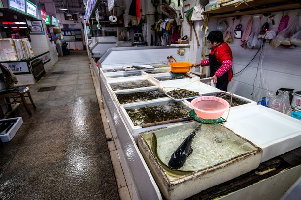 Shanghai, China - Seafood Market   Shanghai, China, 26th Jan 2020, A woman store merchant attends to stall at empty seafood market. (Photo by: Edwin Remsberg/VWPics/Universal Images Group via Getty Images) (Foto: VW Pics/Universal Images Group v)