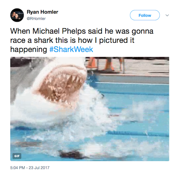 Um fã expondo como esperava ser a disputa entre Michael Phelps e o tubarão (Foto: Twitter)