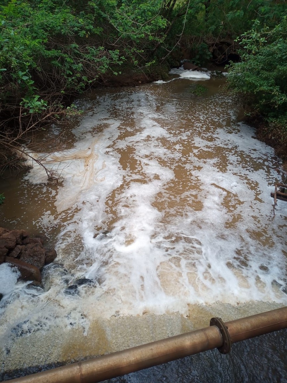 Nesta sexta-feira, não foi apontada origem de espuma em ribeirão — Foto: Divulgação/ Guarda Civil Municipal de Piracicaba
