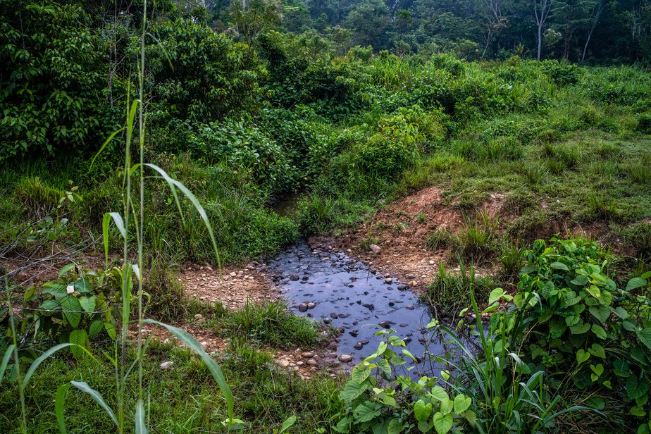 Um riacho sujo de petróleo na região amazônica