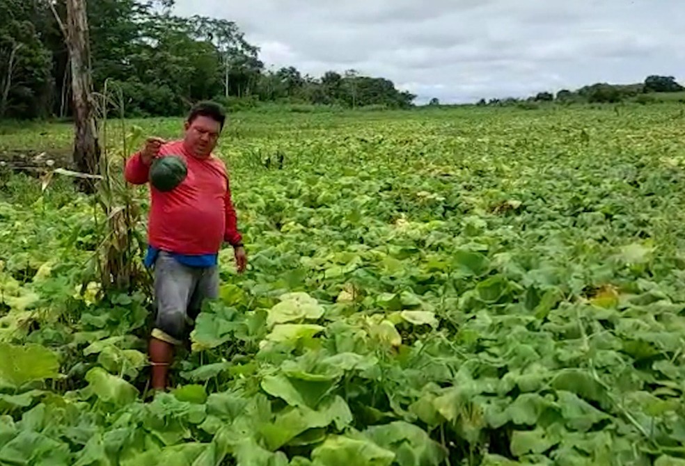 Agricultor no interior do Amazonas lamentou ter perdido toda produção rural devido a cheia dos rios. — Foto: Reprodução/Rede Amazônica