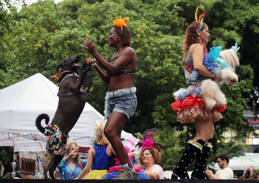 Foliões aproveitam o carnaval com seus cachorros em bloco no Rio — Foto: Sergio Moraes/Reuters