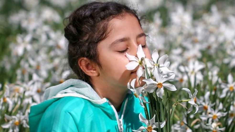 A que se deve a perda de olfato e qual é seu impacto emocional? — Foto: Getty Images via BBC