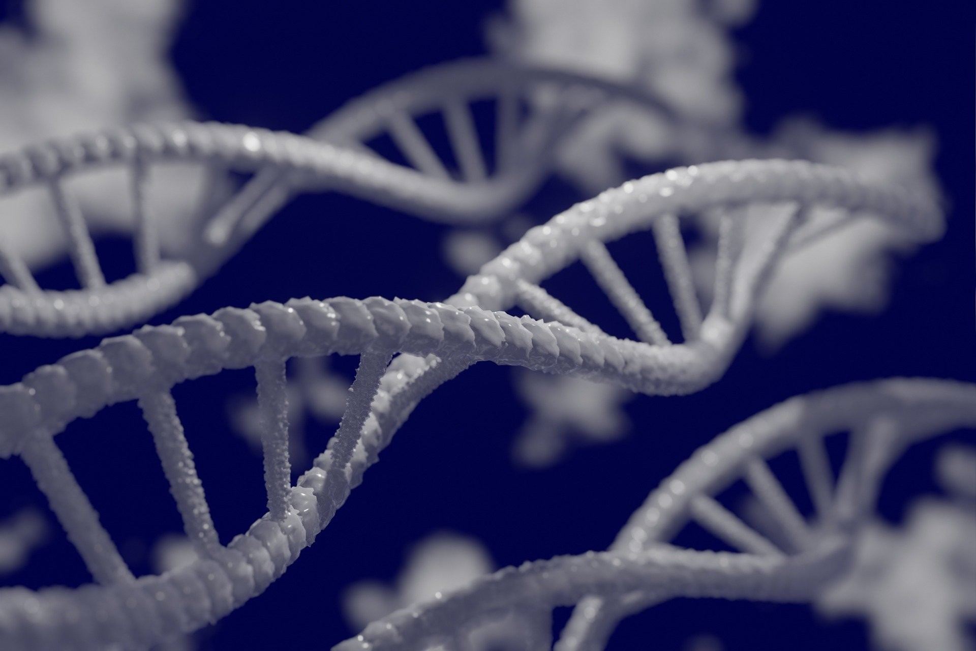 Brasileiros estudo influência da genética sobre a evolução de casos de Covid-19. Acima: representação da dupla fita de DNA (Foto: Mahmoud Ahmed/Pixabay )